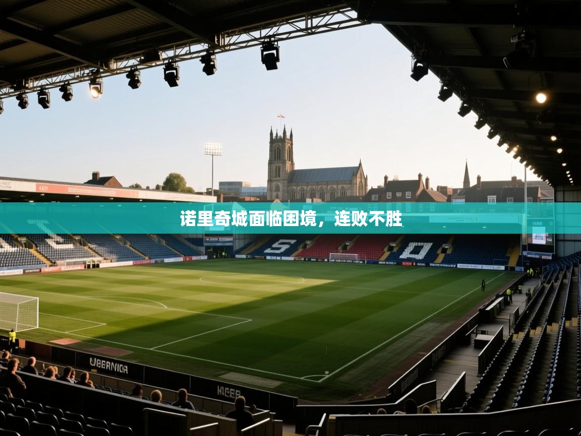 诺里奇城面临困境,连败不胜 第1张