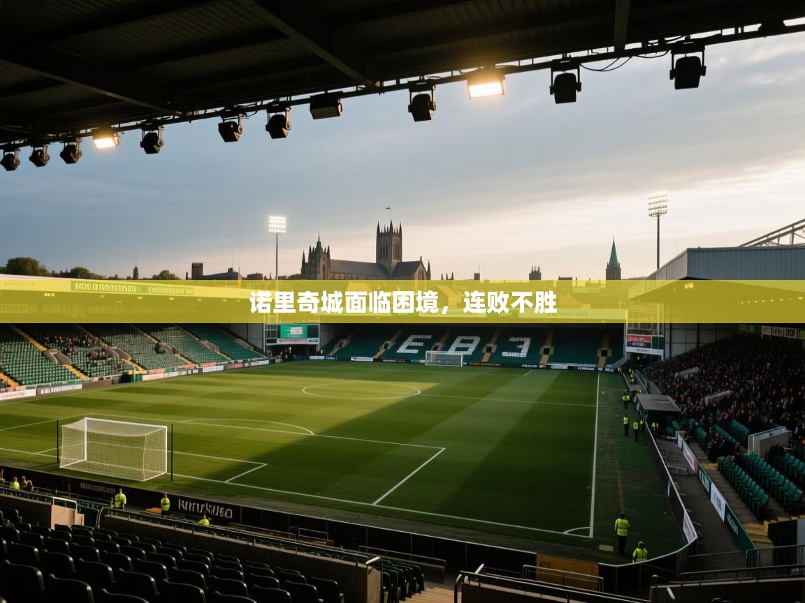 诺里奇城面临困境,连败不胜 第2张